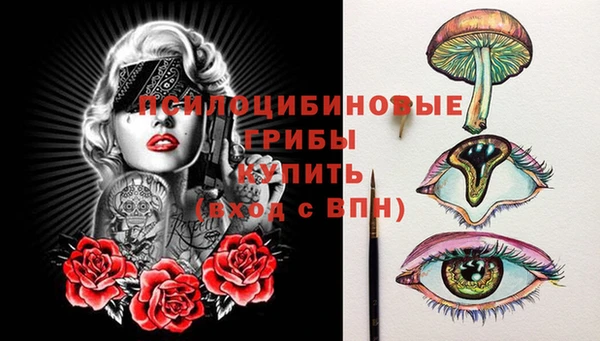 молекула духа Алзамай