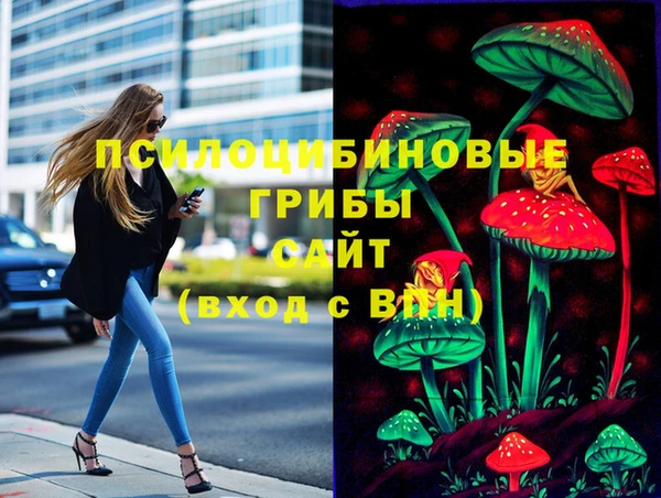 молекула духа Алзамай