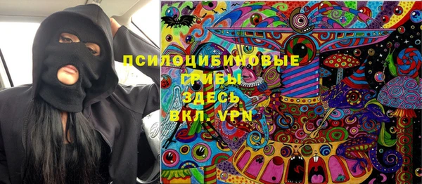 молекула духа Алзамай