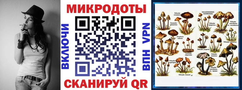 KRAKEN ТОР Каневская площадка как зайти Галлюциногенные грибы прущие грибы